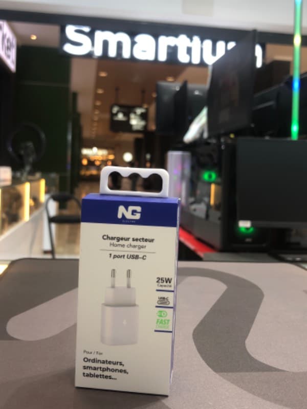 Ng Electro Prise 25W Type C Ng-C04